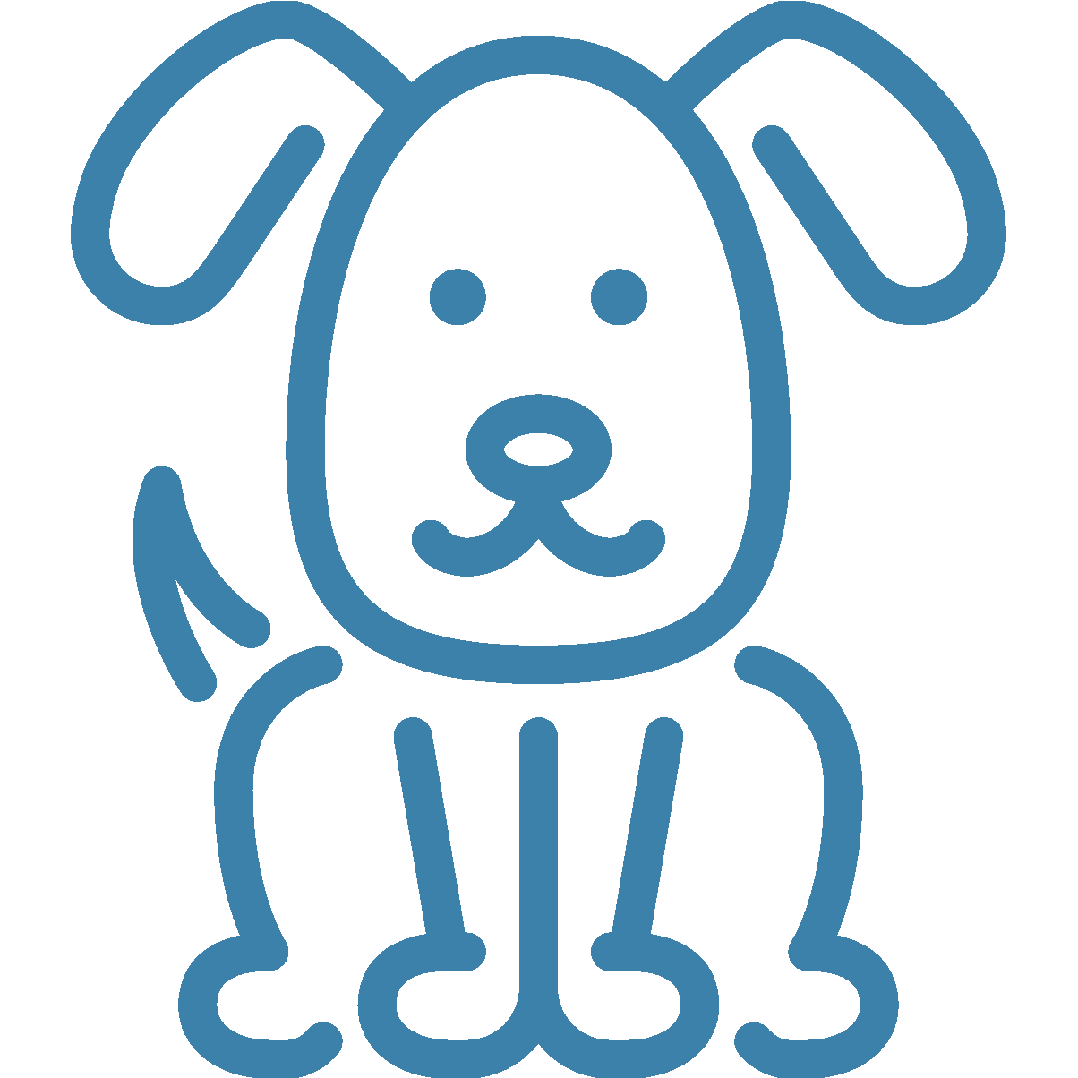 transition alimentaire chez le chien